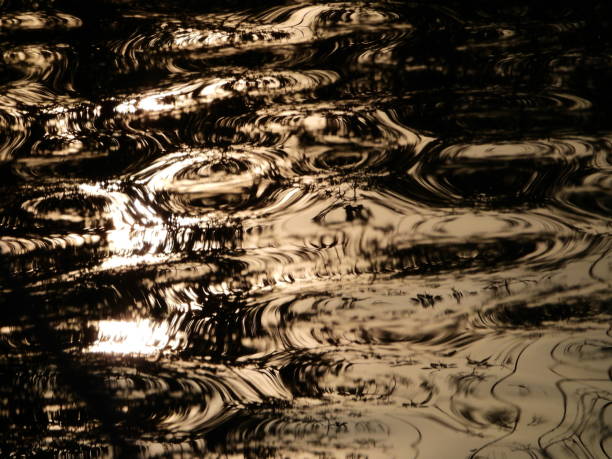 istock Plant reflex in the water 1139746234