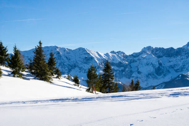 istock Snow landscape in the Alps 1139747493