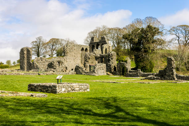 istock Inch Abbey, Northern Ireland 1139748171
