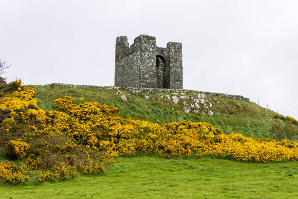 castle ward, irlanda do norte - castle district - fotografias e filmes do acervo