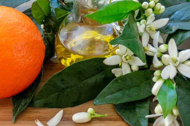 istock Orange flowers and fruit  oil on the table 1139752177