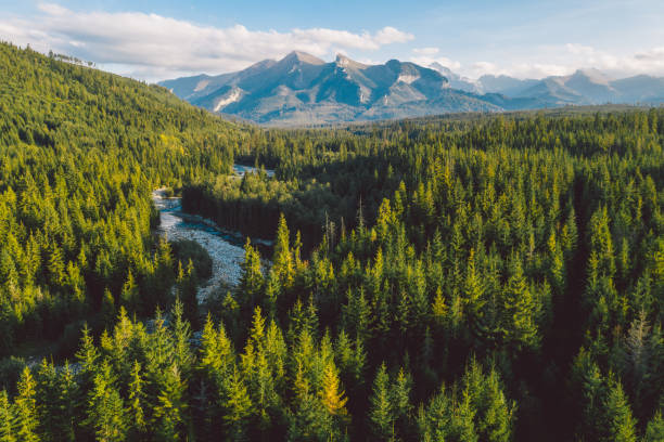 istock The Bialka river with Tatra mountains in the background 1139758849