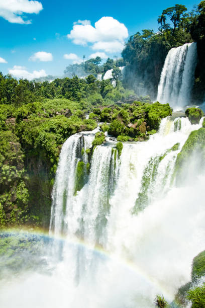 istock Power of Nature 1139758954
