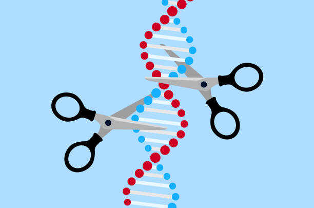 illustrazioni stock, clip art, cartoni animati e icone di tendenza di crispr - editing genico - virus dna molecule molecular structure