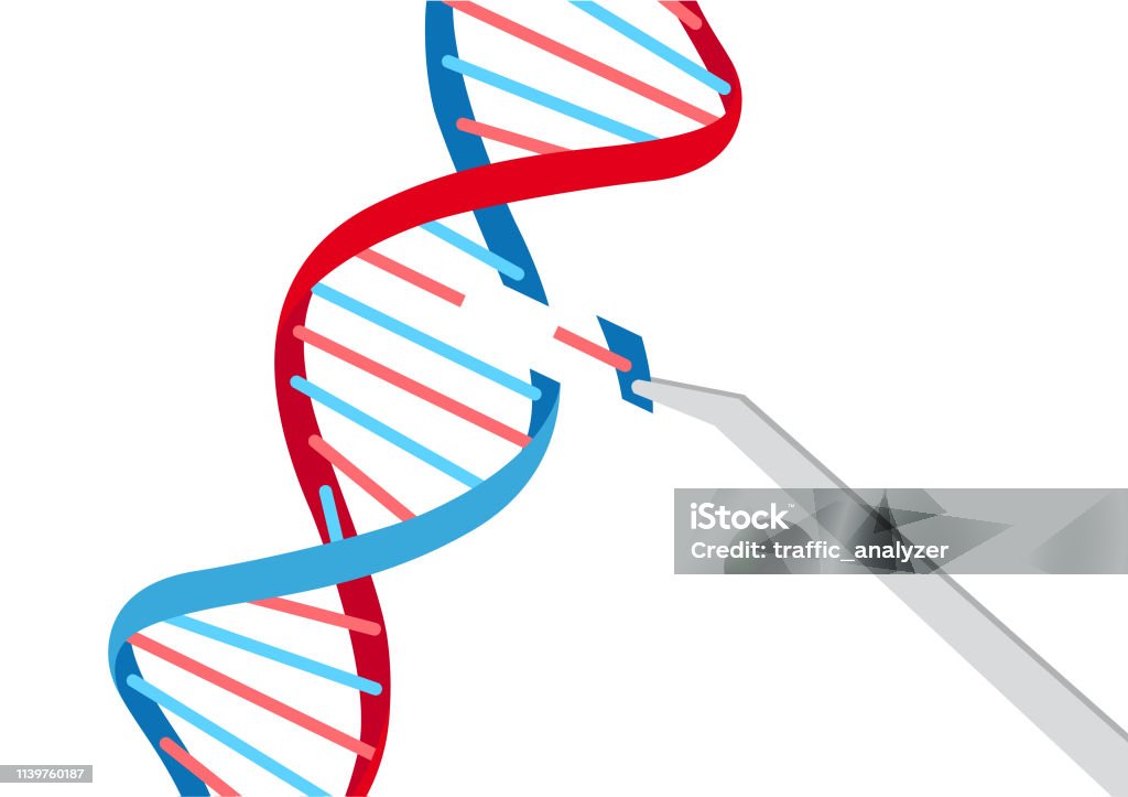 Crispr - gene editing DNA stock vector