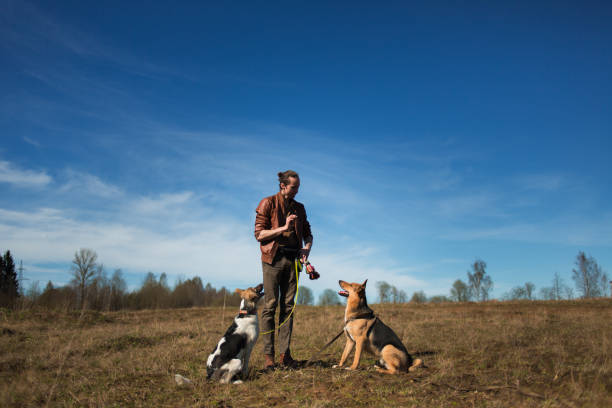 istock A man with two dogs walking on a sunny meadow 1139761657