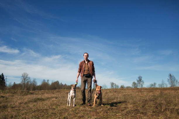 istock A man with two dogs walking on a sunny meadow 1139761662