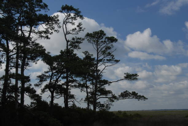 istock Images of the Outer Banks, NC 1139762933