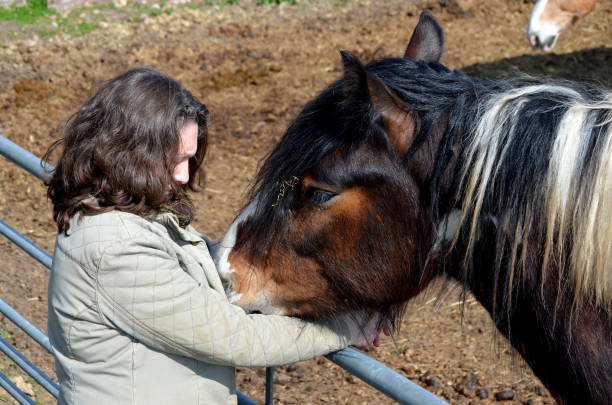 istock Tinker horse hugging with a human being 1139764328