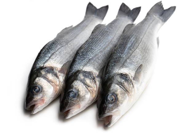 istock Fresh whole sea bass fish isolated on a white 1139765550