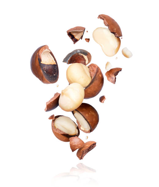 istock Macadamia nuts crushed into pieces, frozen in the air on a white background 1139766003