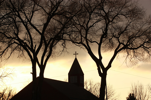 color image of a church steeple and trees at dusk