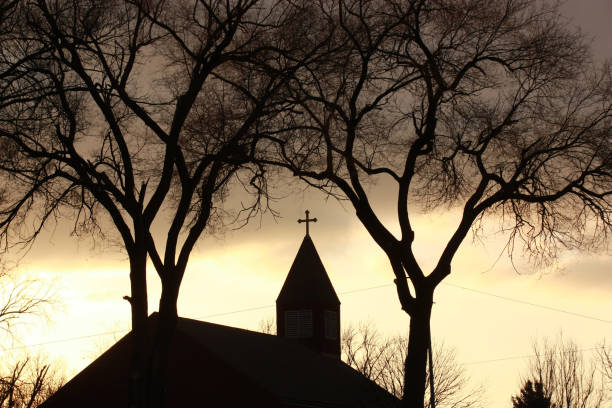 Church Steeple color image of a church steeple and trees at dusk steeple stock pictures, royalty-free photos & images