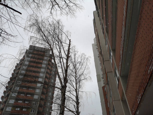 istock Apartment building corner. Cold gray sky and tree twigs shadow. Windows and balconies. Urban living photography. 1139769578
