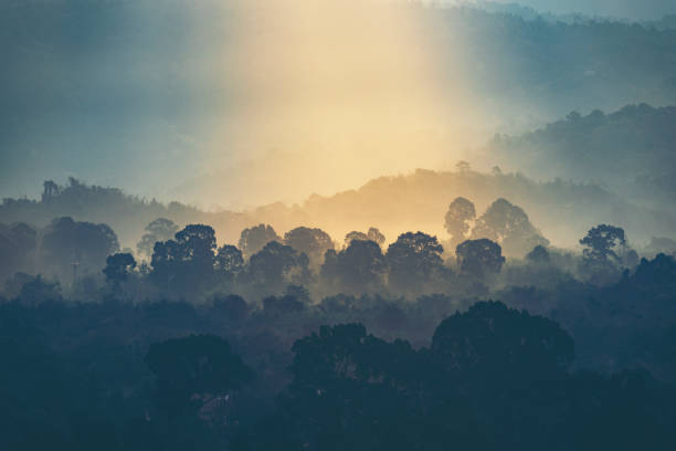 istock sunset over the mountain, view of forest 1139771045