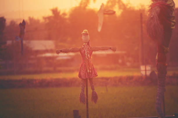 Teen girl balancing on a brick wall in the early morning. Sun Flare appearing in the corner.