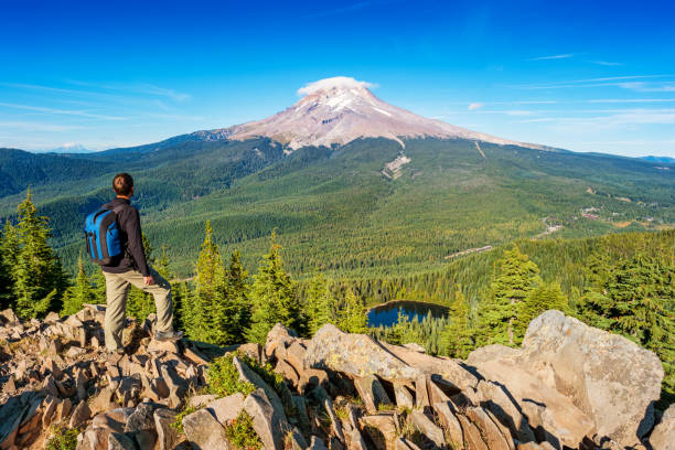 Hiker in Mount Hood National Forest Oregon USA Stock photograph of a hiker looking at view in Mount Hood National Forest Oregon USA on a sunny day. mt hood photos stock pictures, royalty-free photos & images