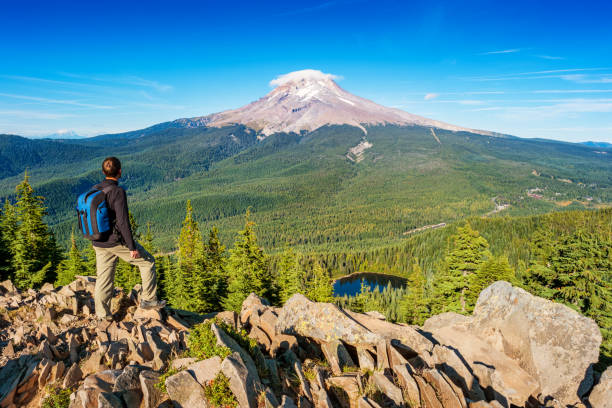 turysta w mount hood national forest oregon usa - góra hood zdjęcia i obrazy z banku zdjęć