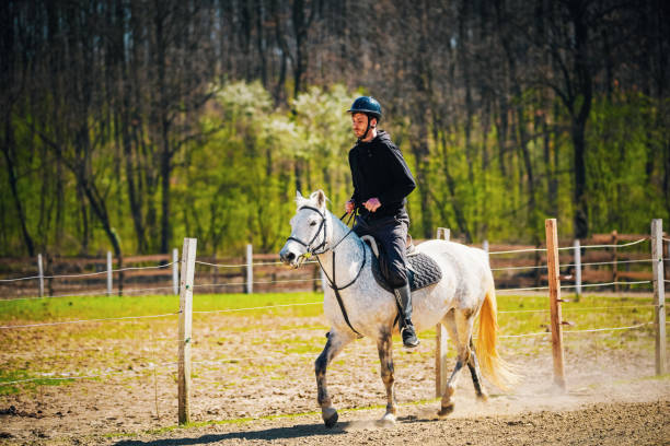 istock Man riding horse 1139777014
