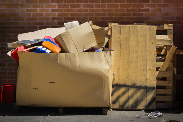 Large Cardboard Garbage Box and Timber Pallets Full of Rubbish