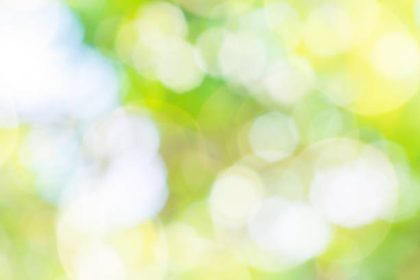 istock Abstract bright summer background of a blooming meadow 1139779650