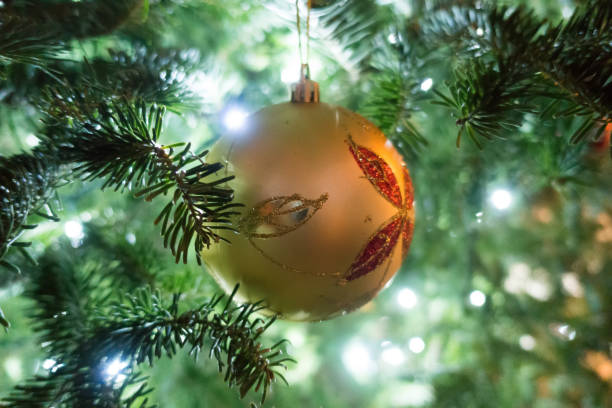 istock live christmas tree decorated for holidays 1139781357