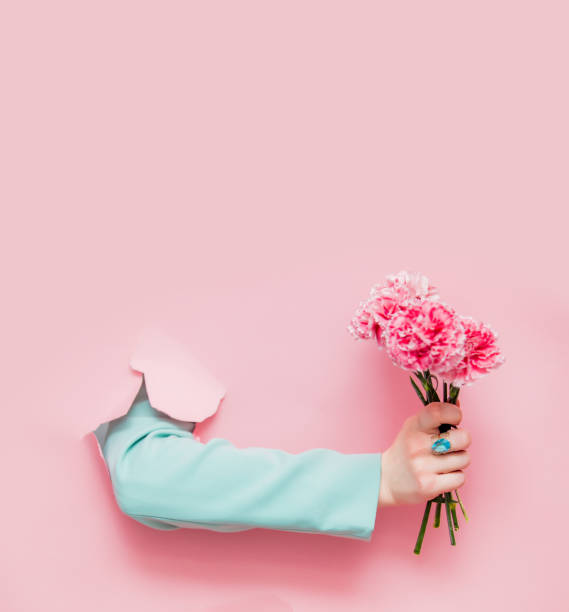 istock Female hand in classic blue jacket with carnation flower 1139781485
