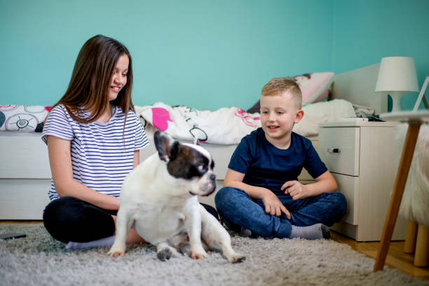istock Kids playing with dog on carpet 1139783474