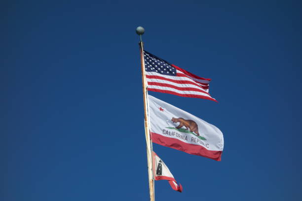 istock Beautiful Day at Pigeon Point 1139783488