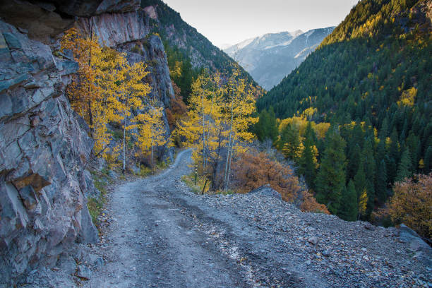 istock Aspen area 4x4 road through aspen trees to old mill 1139787639