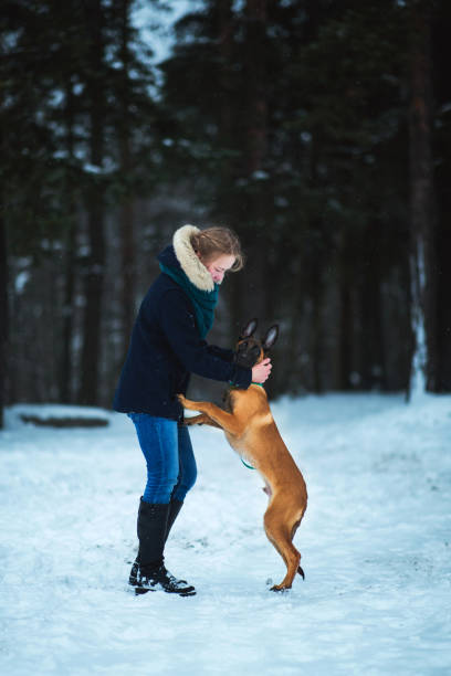 mulheres e cão de pastor belga no inverno. fundo nevando. floresta do inverno - comminication - fotografias e filmes do acervo