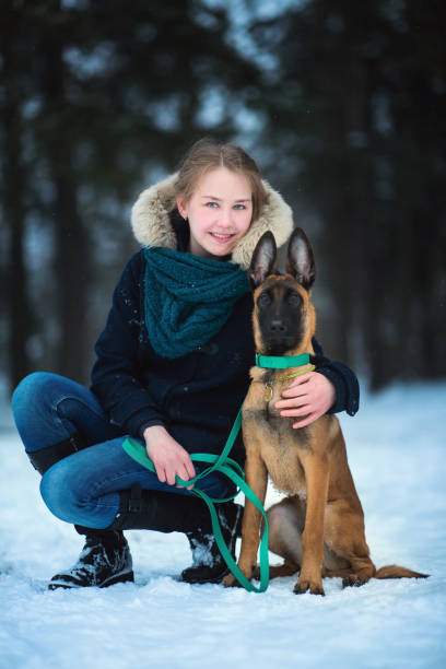 mulheres e cão de pastor belga no inverno. fundo nevando. floresta do inverno - comminication - fotografias e filmes do acervo