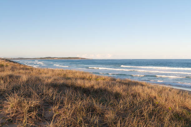 istock Coastal landscape with dry grass and mild waves 1139790432