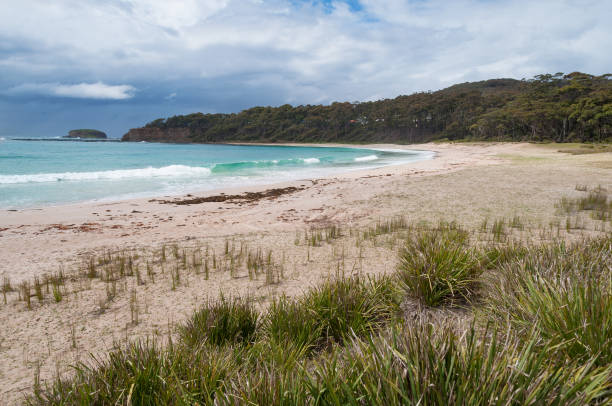 istock Beautiful tropical beach with sand and grass 1139790464
