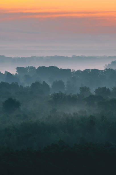 istock Mystical view from top on forest under haze at early morning. Mist among layers from tree silhouettes in taiga under warm predawn sky. Morning atmospheric minimalistic landscape of majestic nature. 1139790497