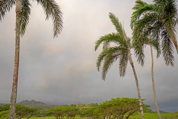 hana, patrząc w kierunku krzyża fagana - hana hanna maui travel locations zdjęcia i obrazy z banku zdjęć