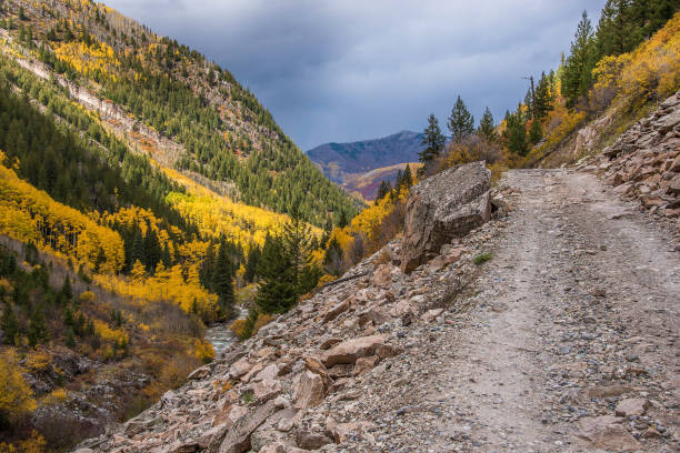 istock Aspen area 4x4 road through aspen trees to old mill 1139802014
