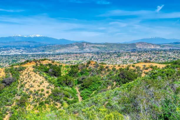 istock Blue sky over city and forest 1139802840