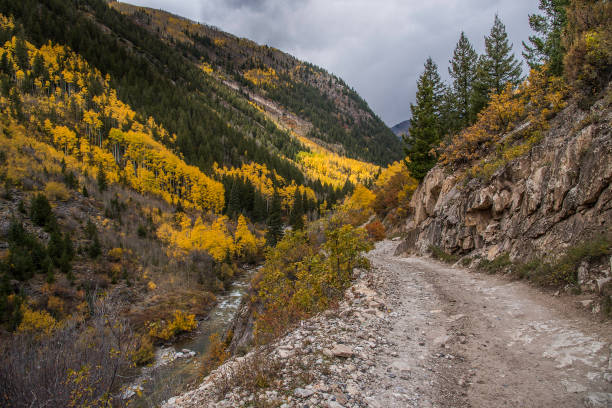 istock Aspen area 4x4 road through aspen trees to old mill 1139807121