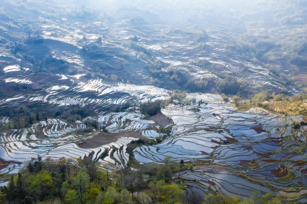 istock terraced fields landscape in yuanyang county 1139808312