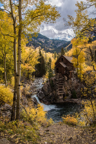 istock Old power generator mill Aspen area 4x4 road through aspen trees 1139810115