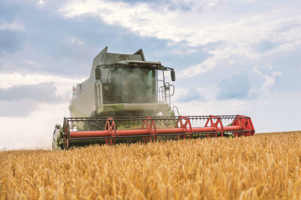istock Combine harvester working on a wheat field. Harvesting wheat. 1139811333