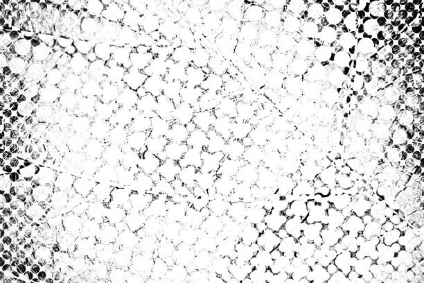 istock Abstract grunge background black and white 1139812586