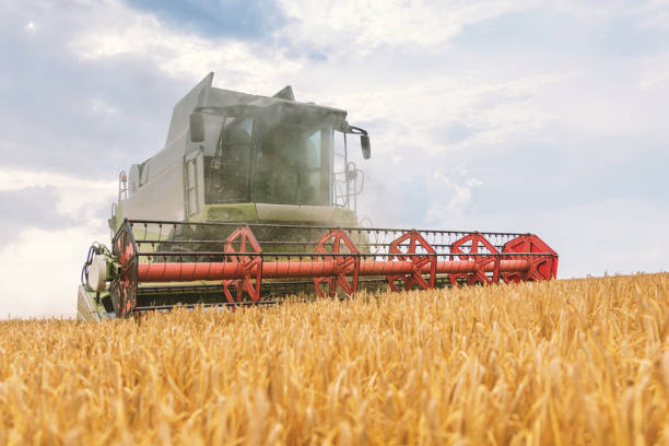 istock Combine harvester working on a wheat field. Harvesting wheat. 1139814003