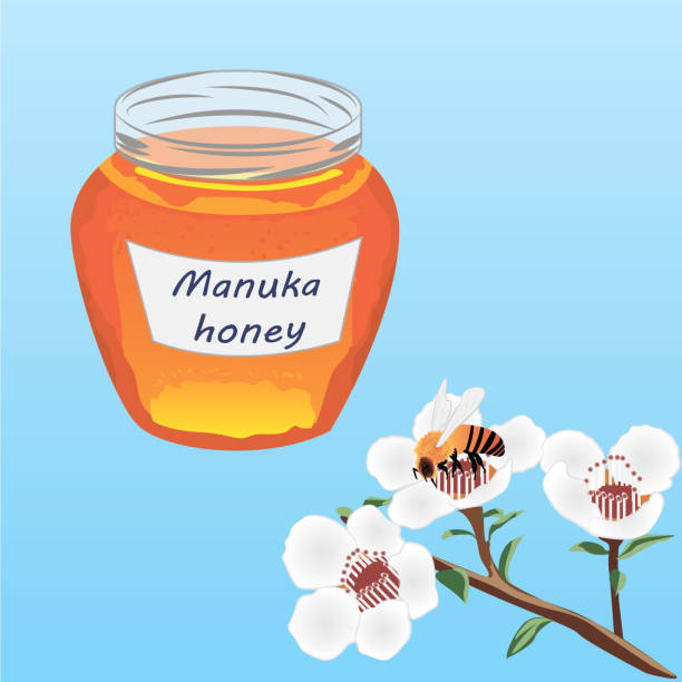 Manuka Honey And A Brunch Of Manuka Blooming And A Bee Stock Illustration - Download Image Now - iStock Manuka Honey And A Brunch Of Manuka Blooming And A Bee Stock Illustration - Download Image Now - iStock