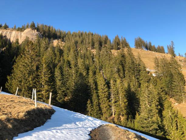 istock Snow cover on Mount Rigi and Alpine landscape in early spring 1139818794