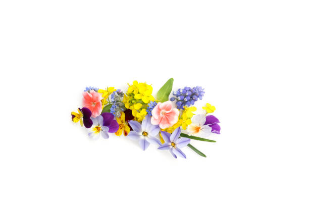 istock floral background of spring flowers 1139820222