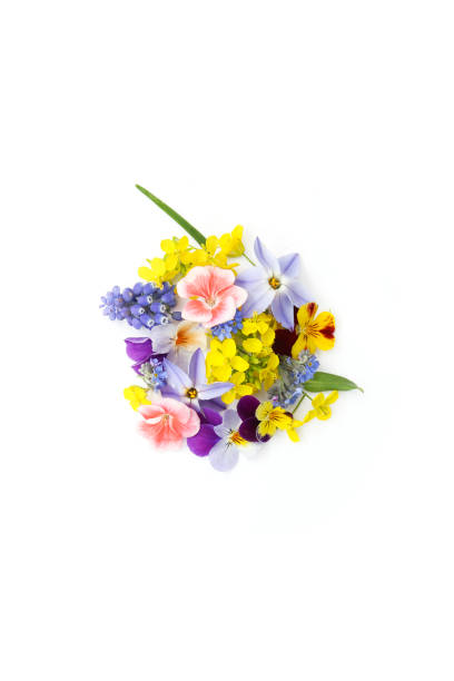 istock floral background of spring flowers 1139820245