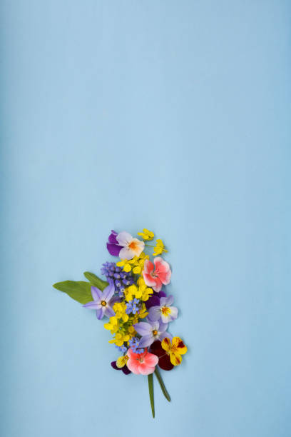 istock floral background of spring flowers 1139820256