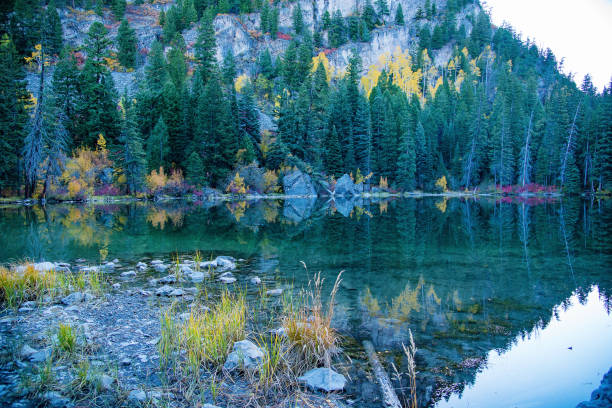 istock Aspen area 4x4 road through aspen trees to old mill 1139821279